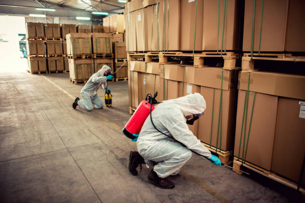 Best Affordable Pest Control Services  in Lake Montezuma, AZ