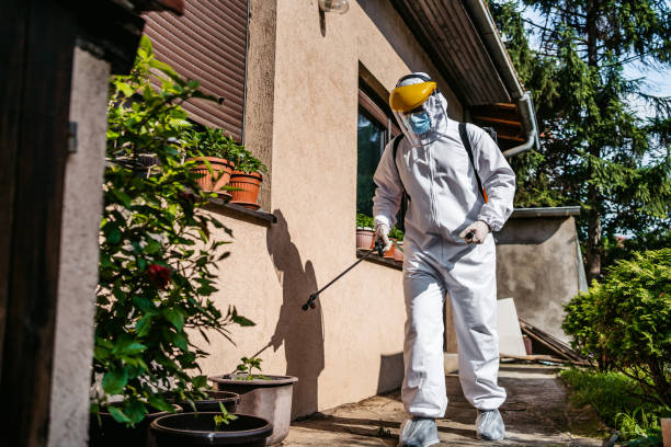 Best Best Pest Control Companies  in Lake Montezuma, AZ