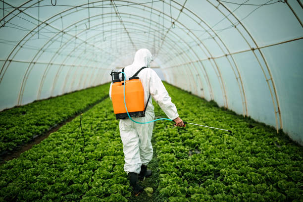 Best Pest Removal Services  in Lake Montezuma, AZ