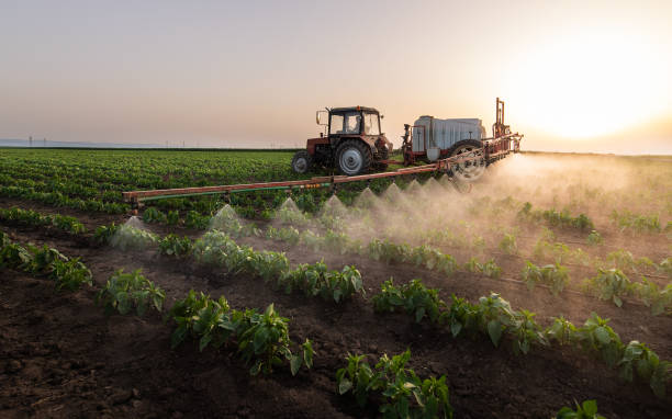 Best Pest Prevention Services  in Lake Montezuma, AZ