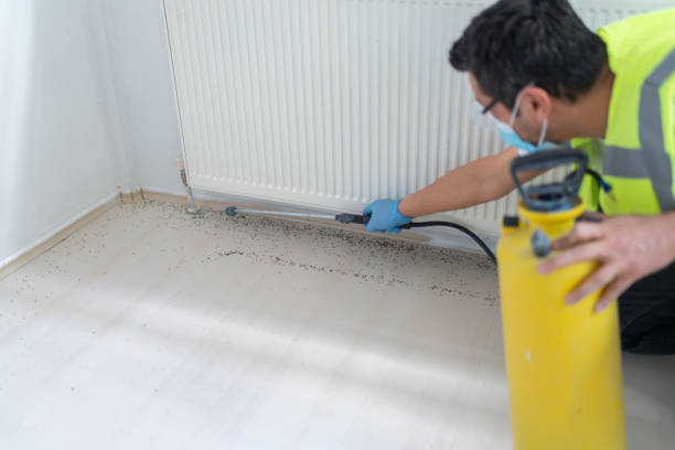 Best Pest Control Cost  in Lake Montezuma, AZ