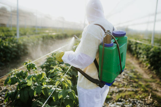 Best Commercial Pest Control Services  in Lake Montezuma, AZ